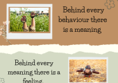 Every behaviour we show has a hidden meaning.