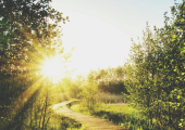 Alison Scott Hypnotherapy