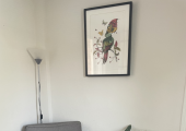 Belfast Chiropractic Clinic