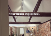 Brain Explained workshops at Mill Yard, Petworth