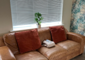 Hypnotherapy  Sofa