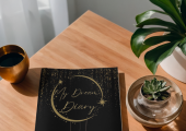 Dream Diary