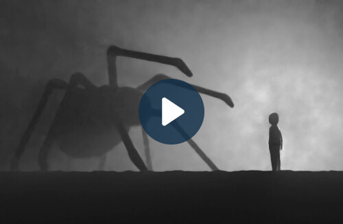 Phobias