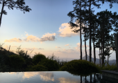 Time to Reflect