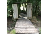 Follow a New Life Path