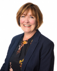 Susie Flashman Jarvis Susie Flashman Jarvis