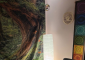 Zen Den space