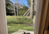 You may even meet LuLu