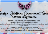 6 Week Programme Structure