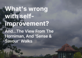 https://miriamfine.substack.com/p/whats-wrong-with-self-improvement?r=259dzv