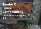 https://miriamfine.substack.com/p/tender-or-fierce-compassion?r=259dzv