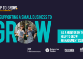 Help to Grow Business Mentor