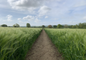 Follow the path to happiness - discover the powerful YOU