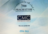 CMC External Workplace Mediator