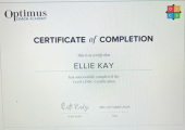 DISC Certified coach - Level 1