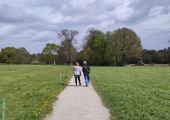 Coaching while walking