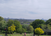 Ally Pally landscape