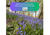 Bluebell filed with QR for Laura Haywood Coaching