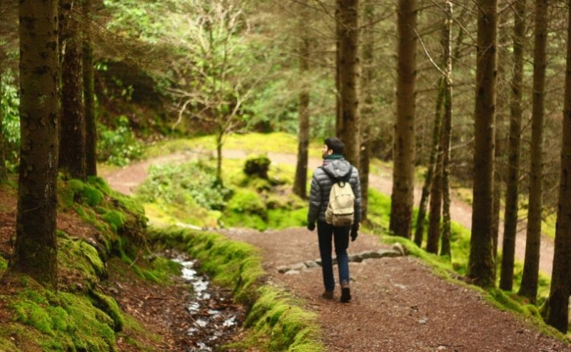 Man walking in forest