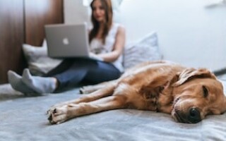 Is work affecting your relationships?