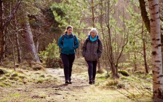 Walk and talk coaching: Benefits for well-being and vitality