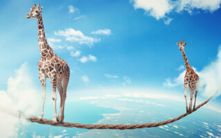 How to achieve big goals in three simple steps