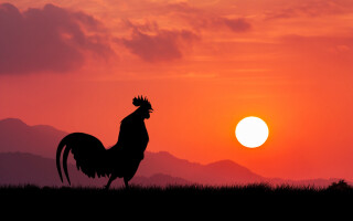 How to: Become an early riser