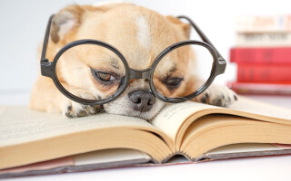 3 books to help boost your confidence