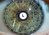 How your eye is mapped to a body system