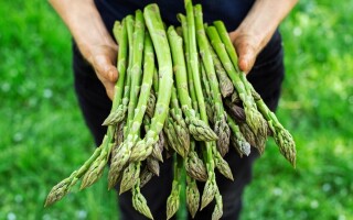 How to freeze foods and keep them edible