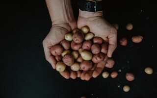 What is resistant starch?
