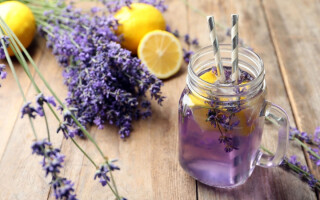 Summer mocktails to sip with intention and style