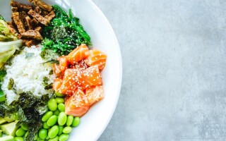 The impact of nutrition on brain structure