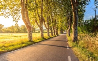 One road to becoming a nutritionist