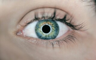 Eye Movement Integration (EMI) 