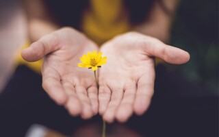 How to stimulate pressure points to relieve anxiety