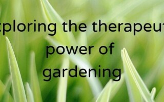Exploring the therapeutic power of gardening