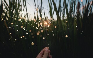 Is empathetic living the secret to a more harmonious life?