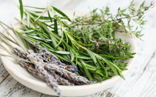 How to grow your own well-being with herbalism