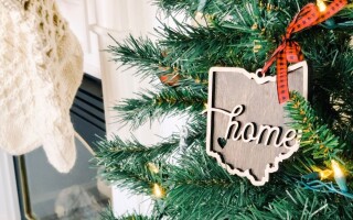 Staying serene during party season