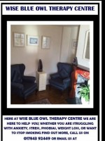 Wise Blue Owl Therapy Centre Wise Blue Owl Therapy Centre