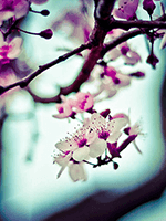 Sacred Space Healing Sacred Space Healing